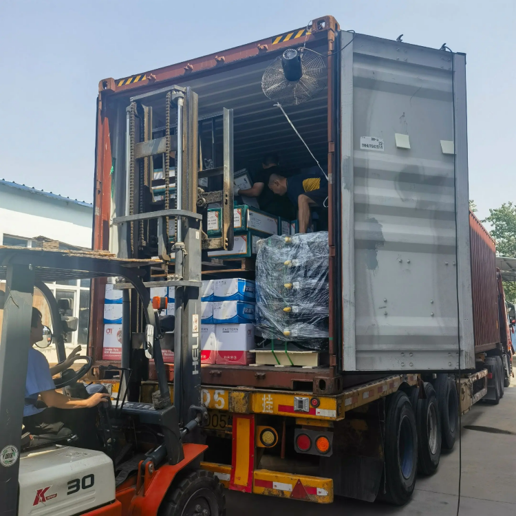 Скойлонгон жүк ташуучу унаа бөлүктөрү - Оңой, бардык жерде ишенимдүү!